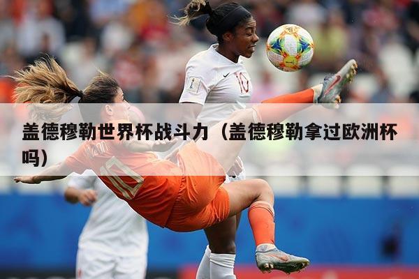 盖德穆勒世界杯战斗力（盖德穆勒拿过欧洲杯吗）