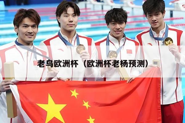 老鸟欧洲杯（欧洲杯老杨预测）