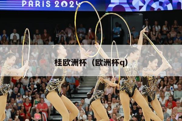 桂欧洲杯（欧洲杯q）