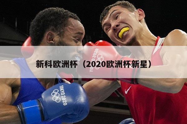 新科欧洲杯（2020欧洲杯新星）