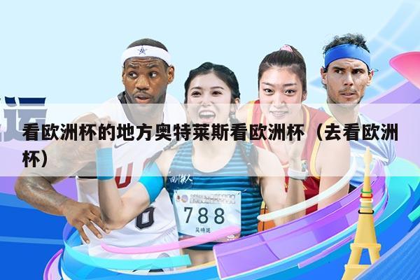 看欧洲杯的地方奥特莱斯看欧洲杯（去看欧洲杯）